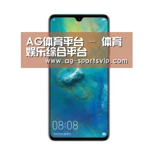 华为无线快充手机