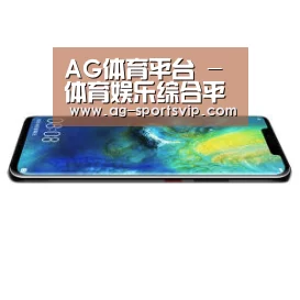 华为无线快充手机
