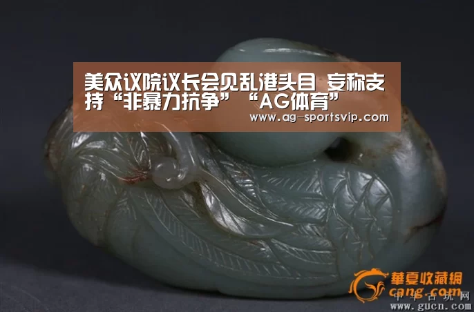 美众议院议长会见乱港头目 妄称支持“非暴力抗争”“AG体育”(图1) AG足球