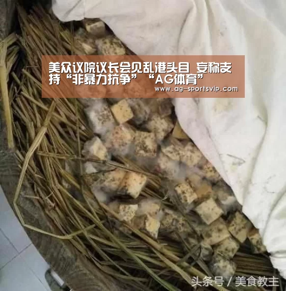 美众议院议长会见乱港头目 妄称支持“非暴力抗争”“AG体育”(图4) AG足球