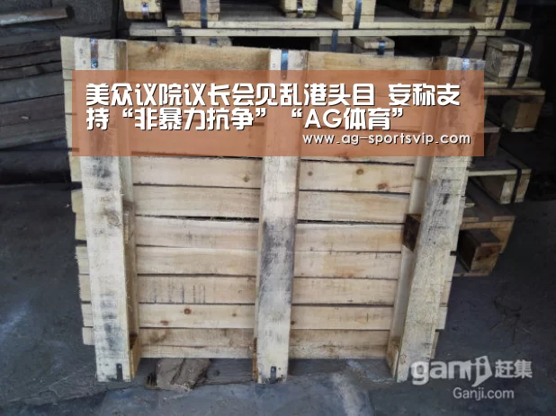 美众议院议长会见乱港头目 妄称支持“非暴力抗争”“AG体育”(图3) AG足球