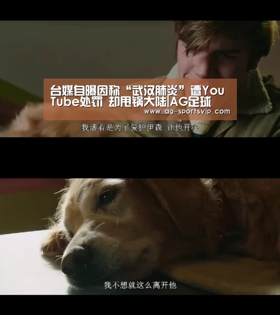 台媒自曝因称“武汉肺炎”遭YouTube处罚 却甩锅大陆|AG足球(图1) AG体育